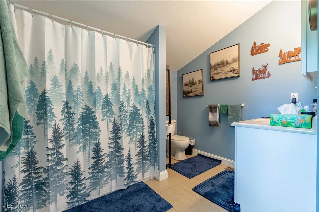 Full bathroom featuring tile patterned flooring, vanity, lofted ceiling, and a shower with shower curtain