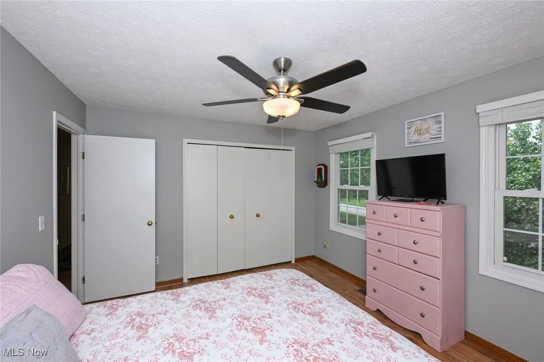 Bedroom 2 - large wall closet