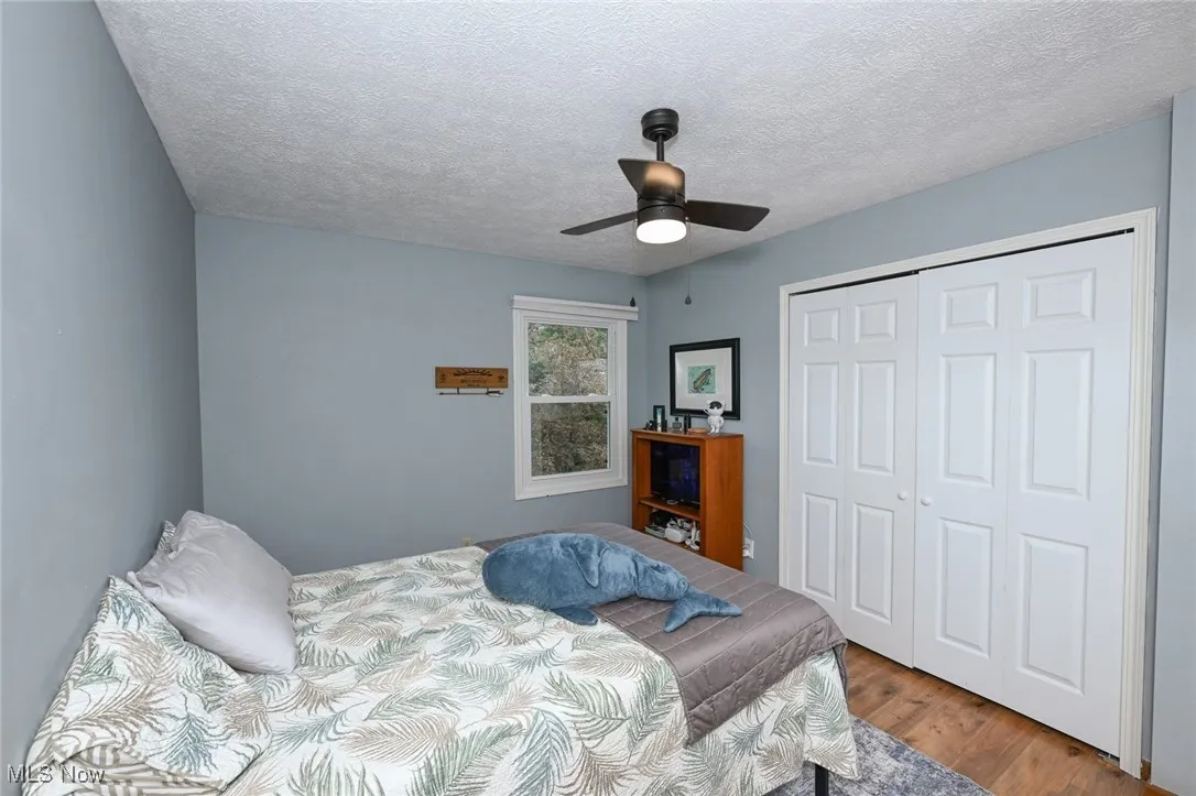 Bedroom 3 - large wall closet