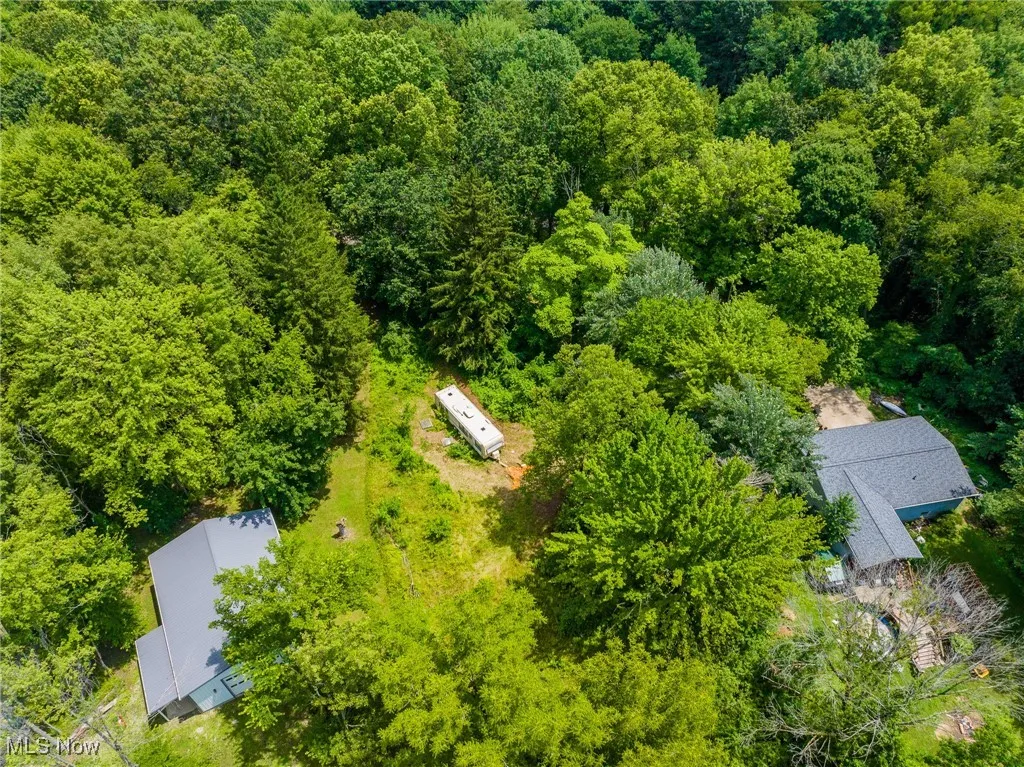 Aerial view of a forest