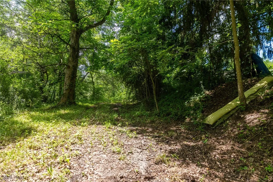 View of wooded area