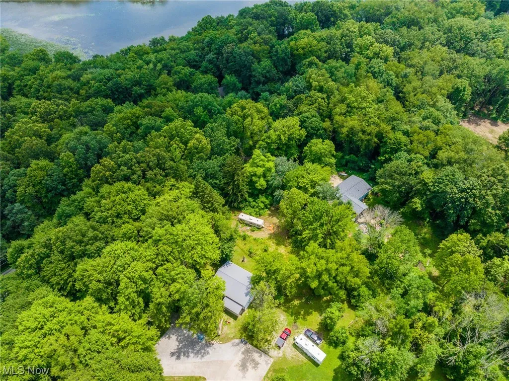 Drone / aerial view of a forest