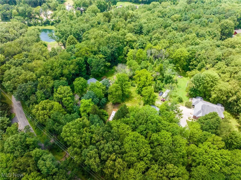 Bird's eye view of a forest and a nearby body of water