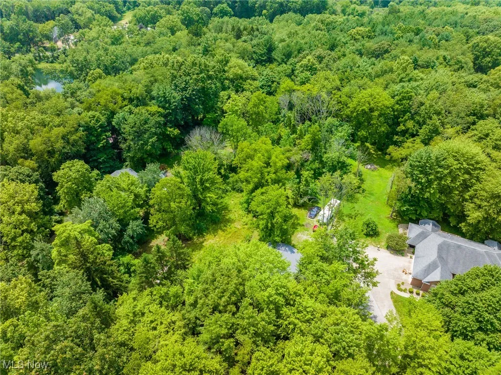 Aerial view of a forest