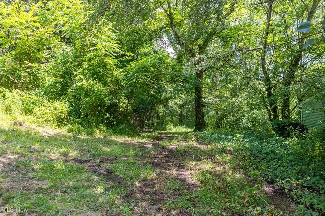 View of woods