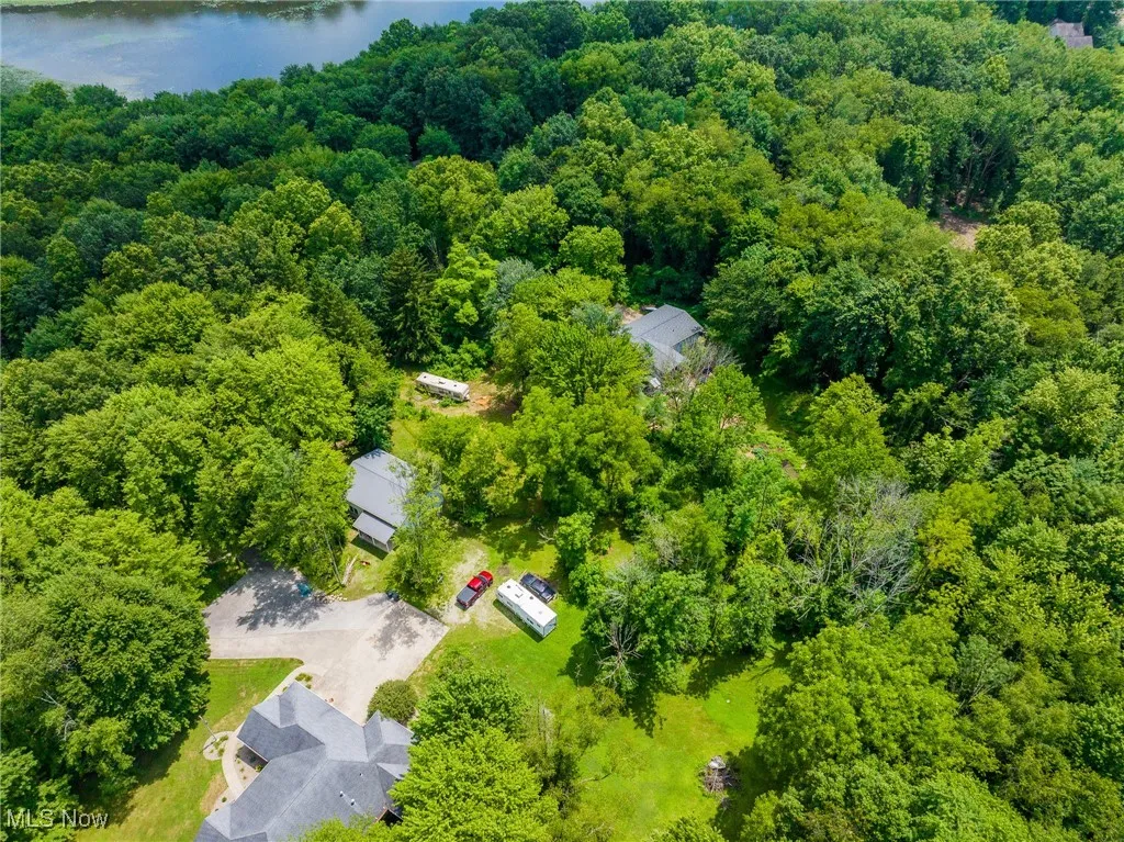 Aerial view of a forest and a large body of water
