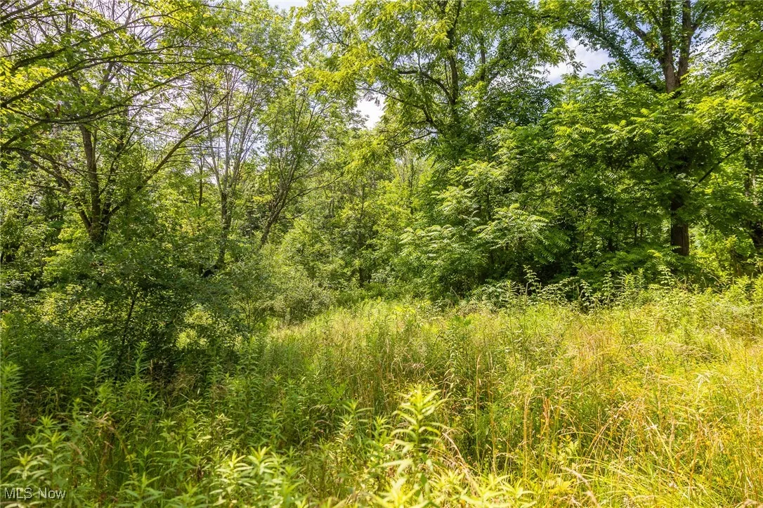View of wooded area