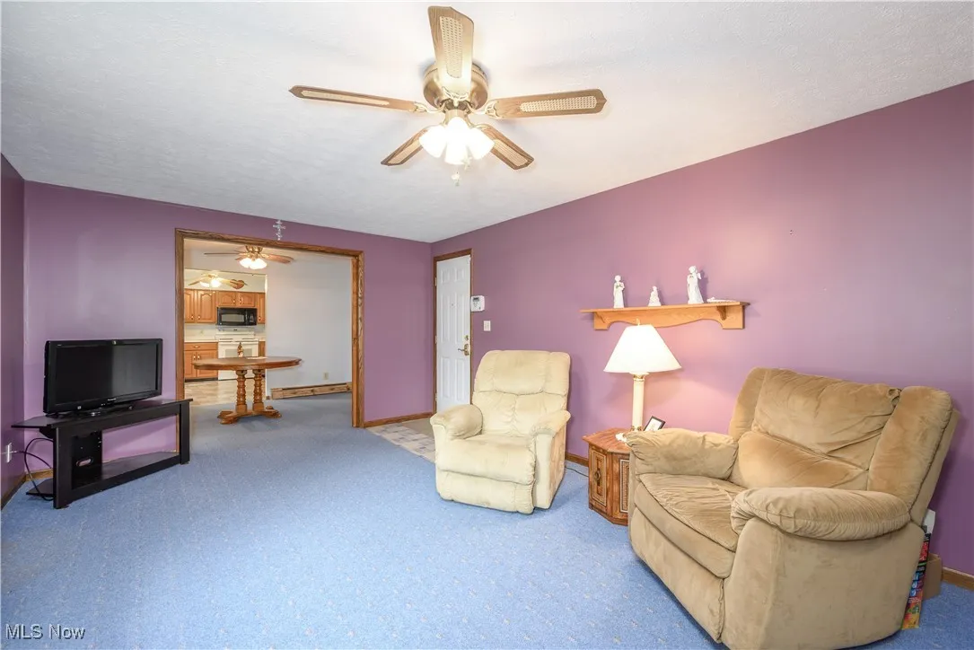 Living room featuring carpet flooring and a ceiling fan