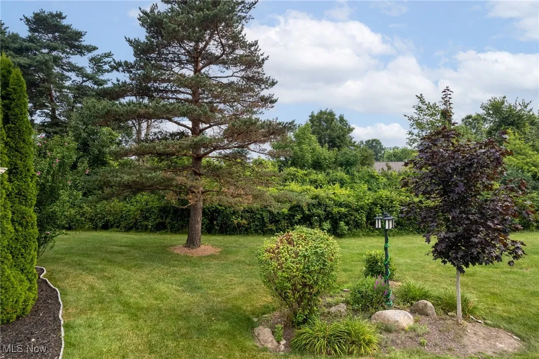 View of grassy yard