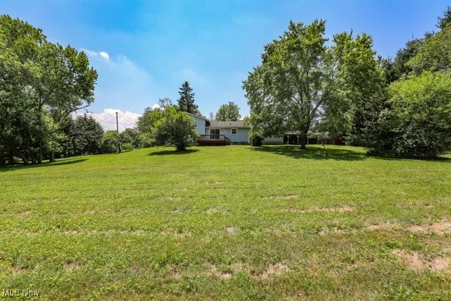 View of grassy yard
