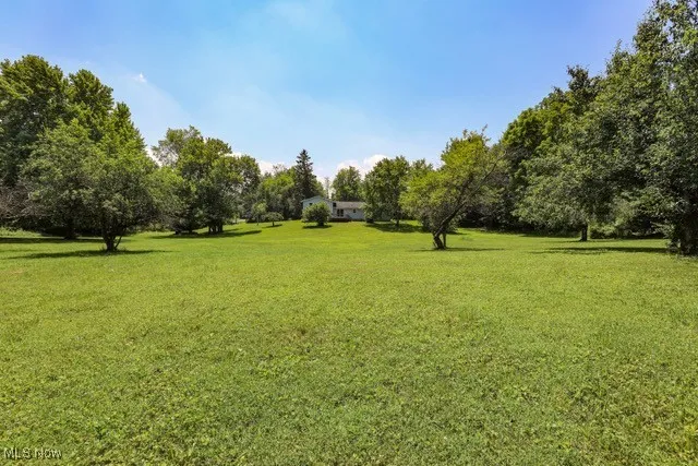 View of grassy yard