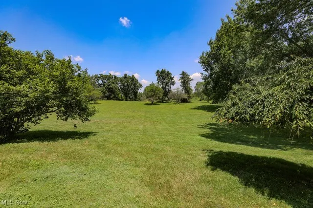 View of green lawn
