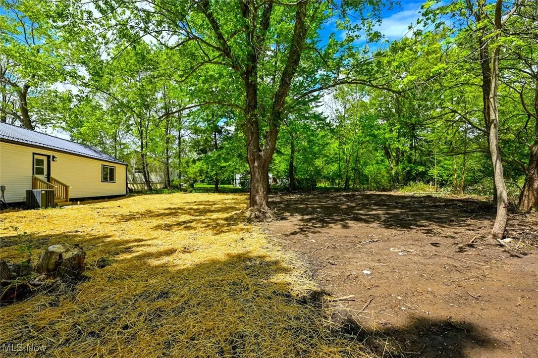 *BACK YARD GRADED ~