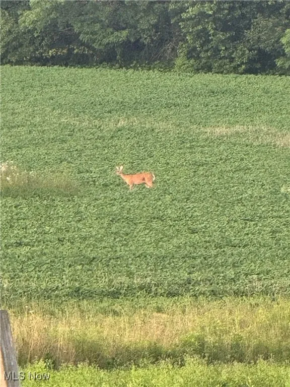 field behind home