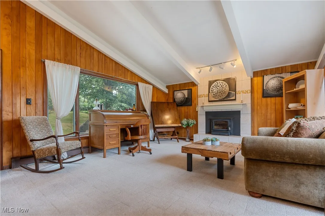 wood burning fireplace with insert