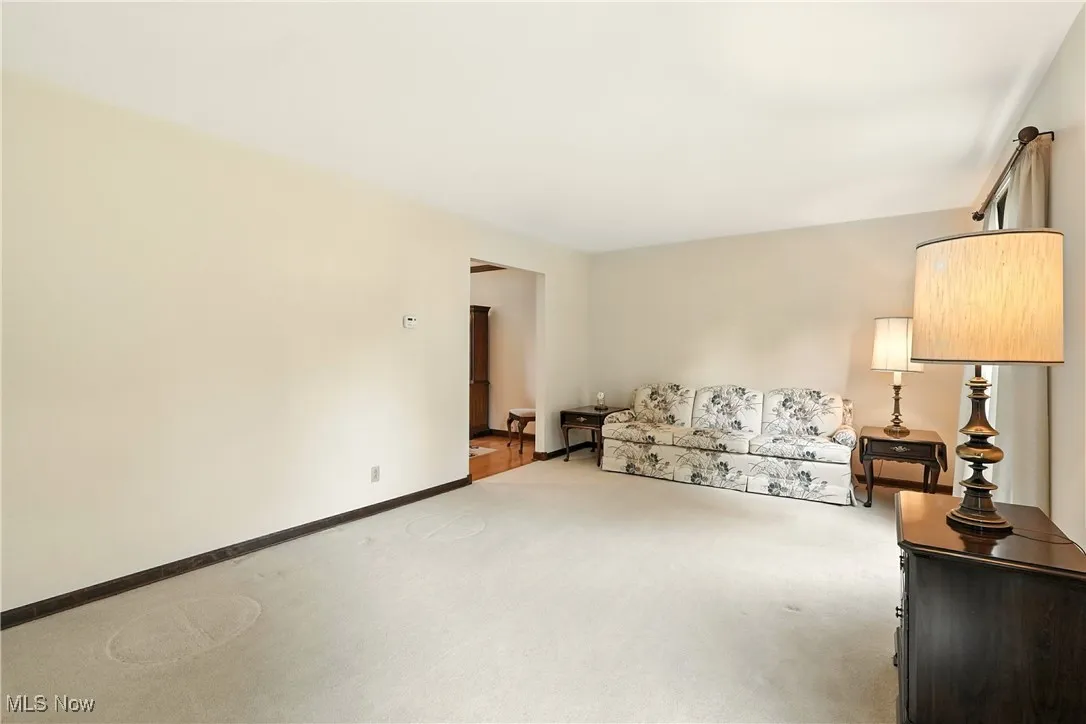 Living area featuring light carpet and baseboards