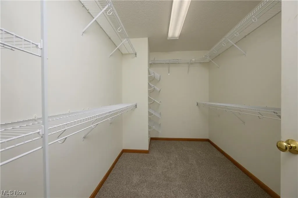 Walk in closet with carpet floors