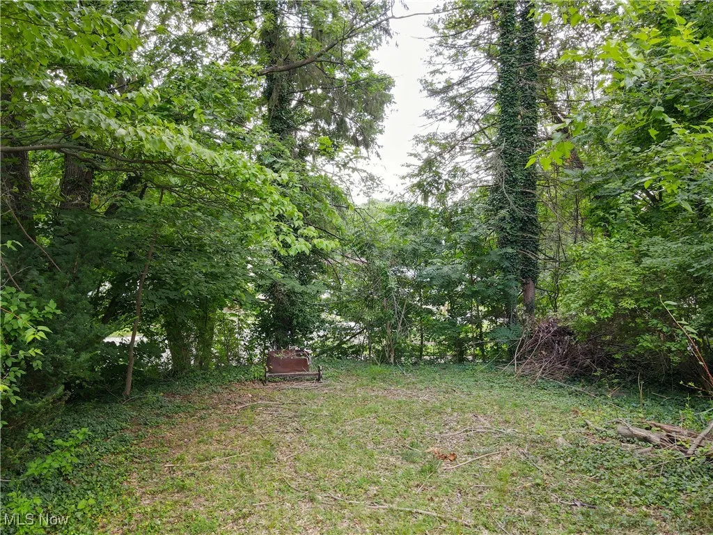 View of yard featuring a wooded view