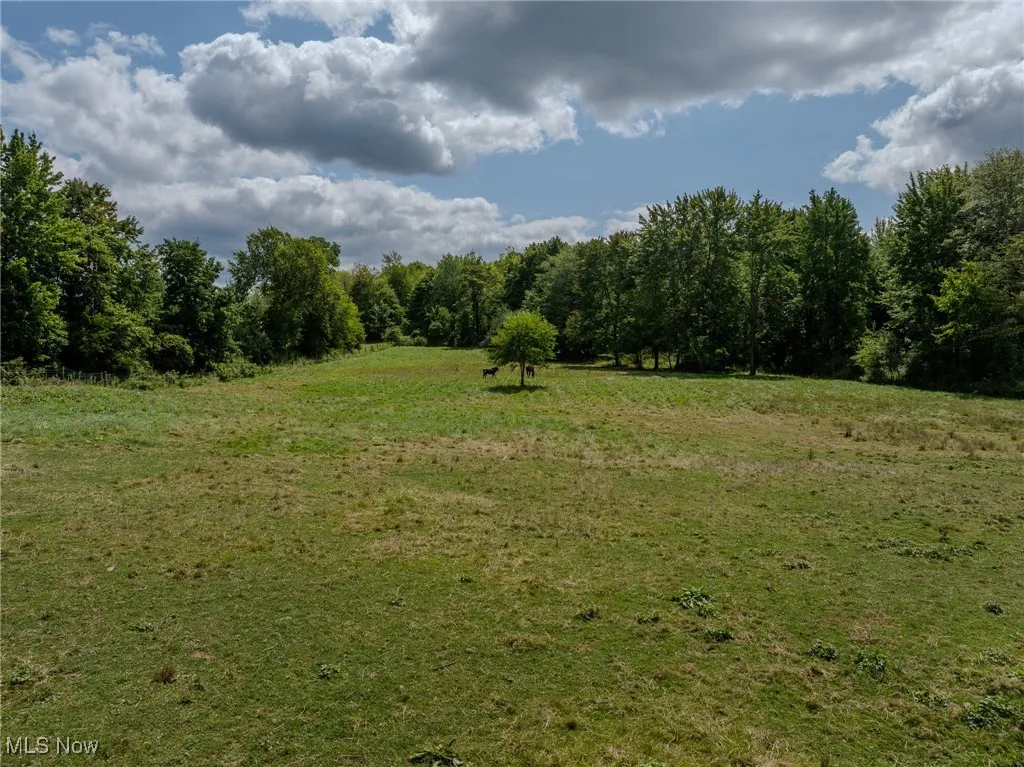 View of local wilderness featuring rural landscape