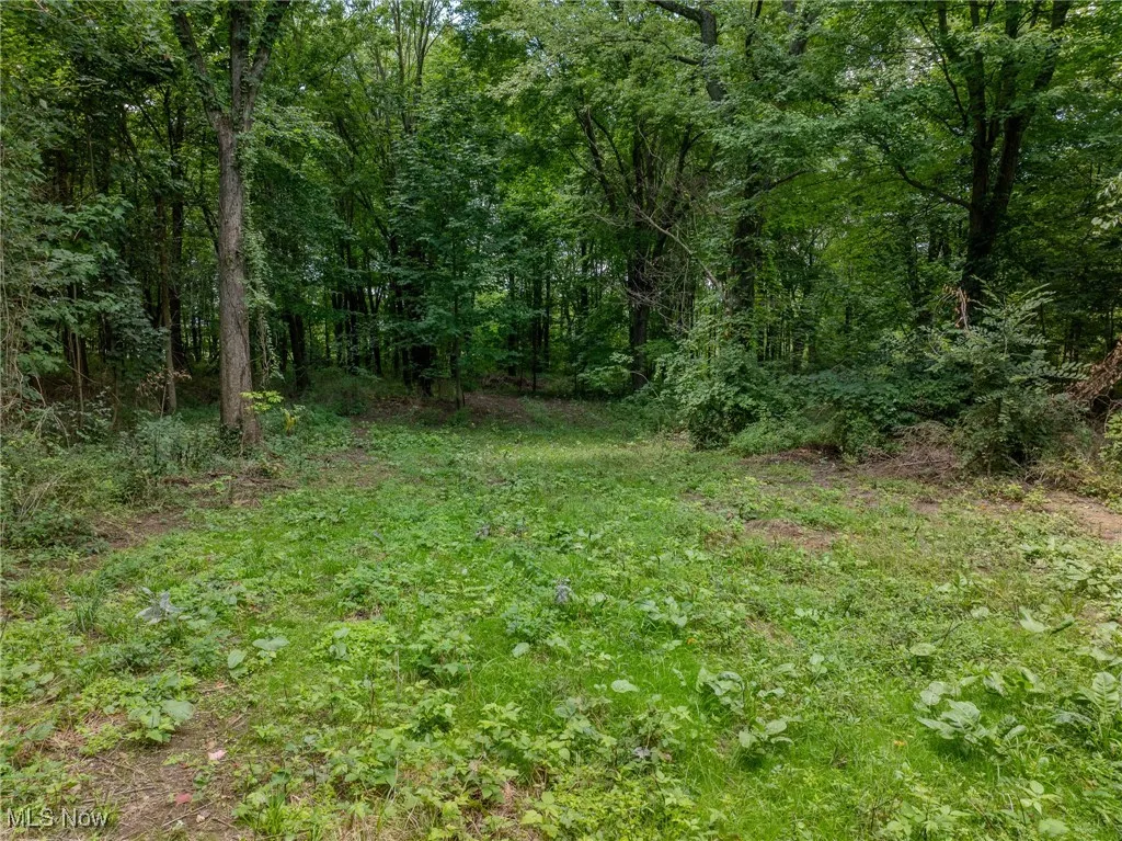 View of yard with a view of trees