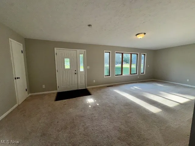 Carpeted living room