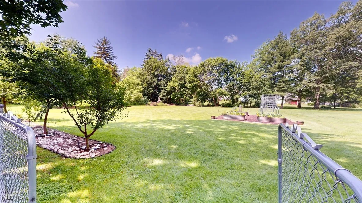 View of large yard with fruit trees