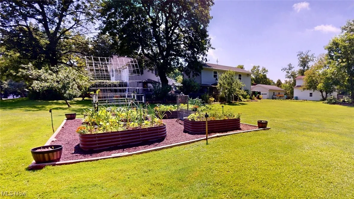 Yard with a vegetable garden