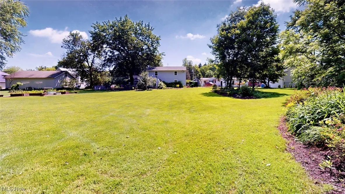 Large Yard