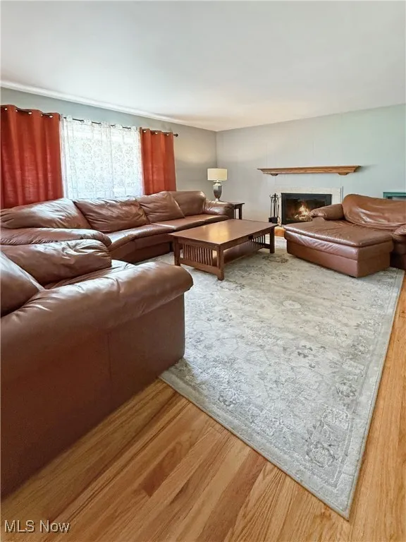 Living room featuring wood finished floors and a lit fireplace