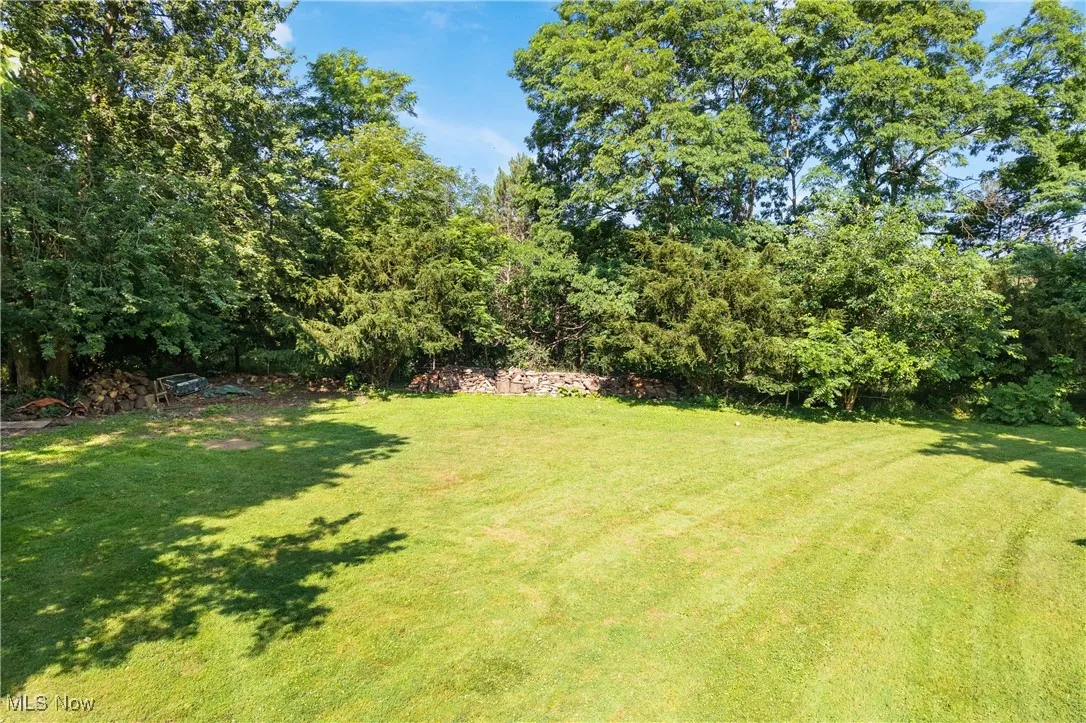 View of grassy yard