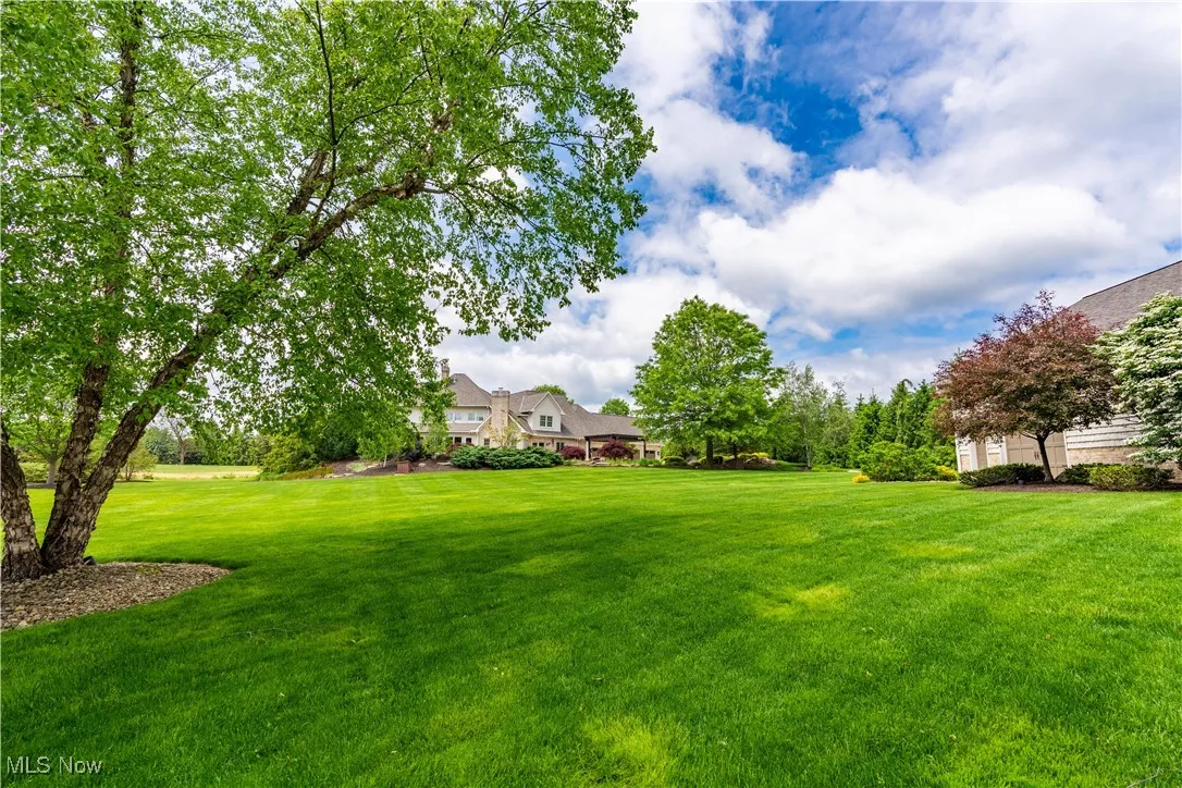 Delightful yard and natural setting.