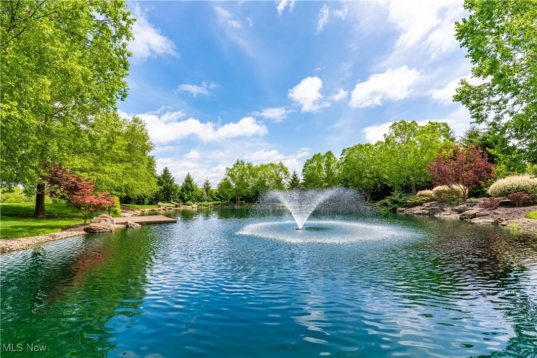 Beautiful fountain feature in the pond.