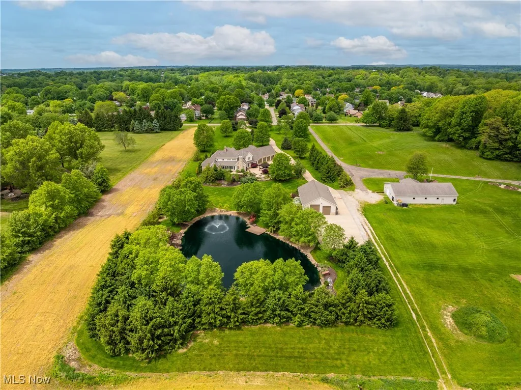Aerial view of the rear of the property/pond.