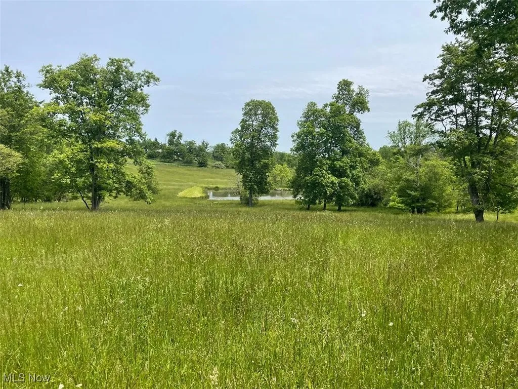 Pond View