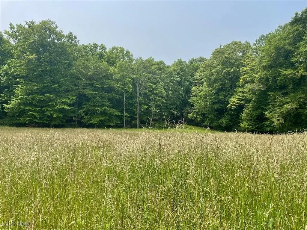 2070 Riggle Road, Bellville, Ohio,MLS Now Listing ID