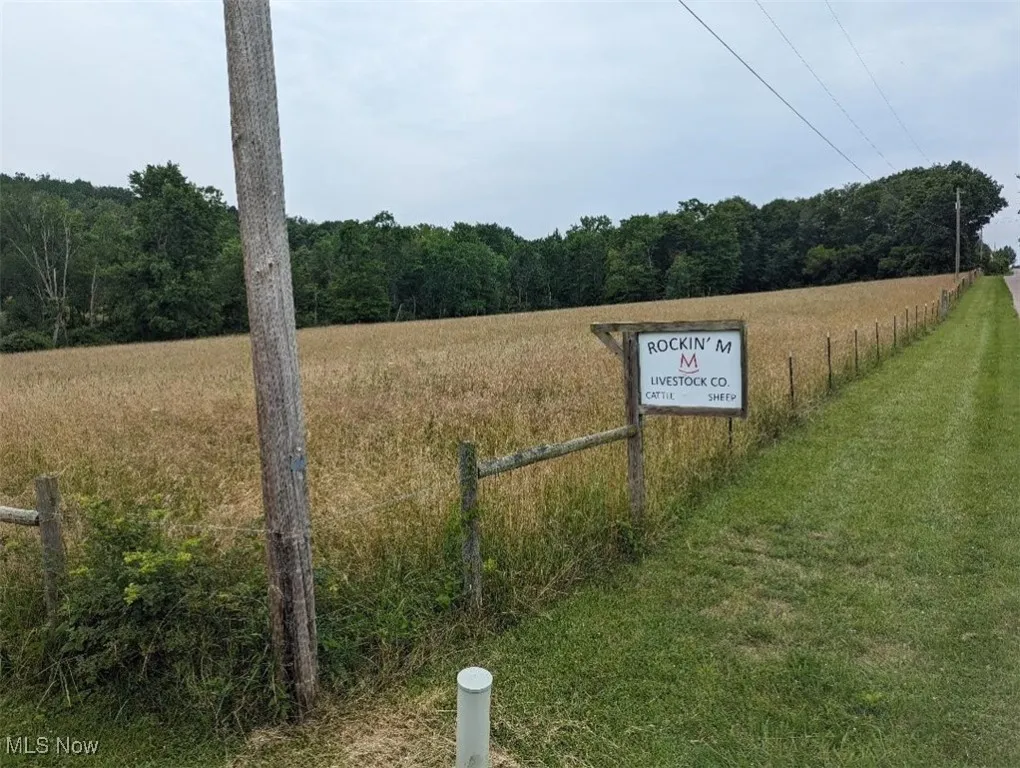 View From Road