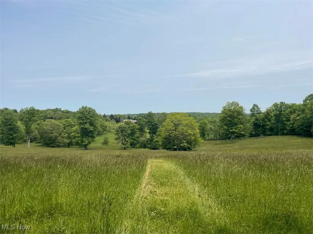 Your Property   View from near Back Property Line