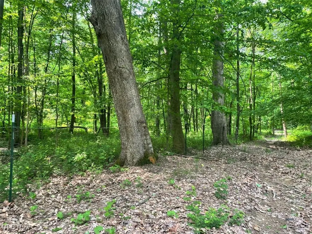 Close to Property Line