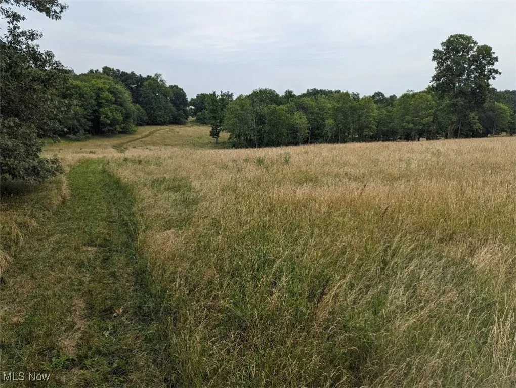View of Your Property