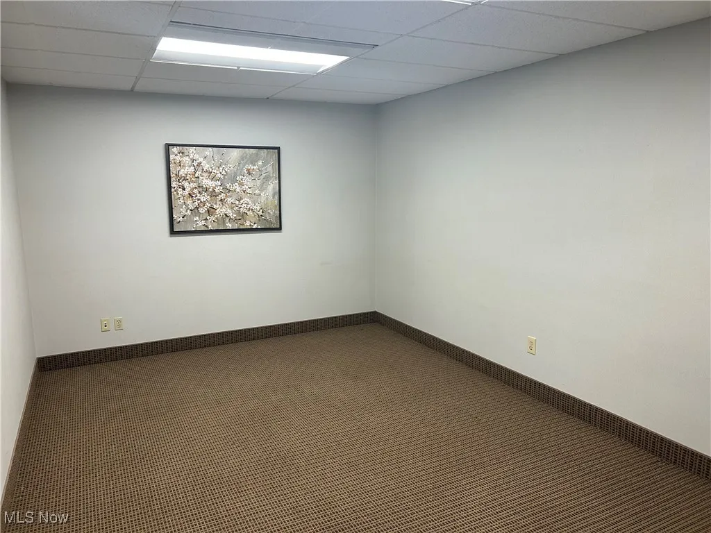 Spare room featuring carpet and a drop ceiling