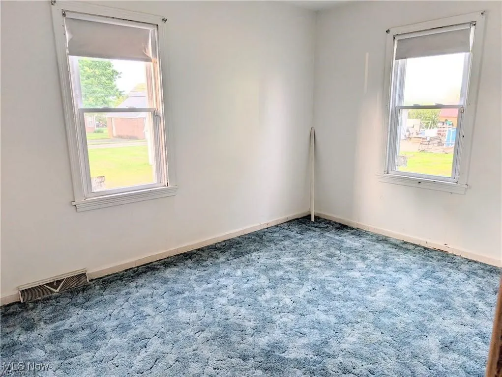 Spare room featuring carpet and plenty of natural light