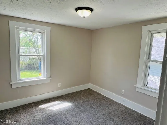 394 Lewis Street, Akron, Ohio,MLS Now Listing ID