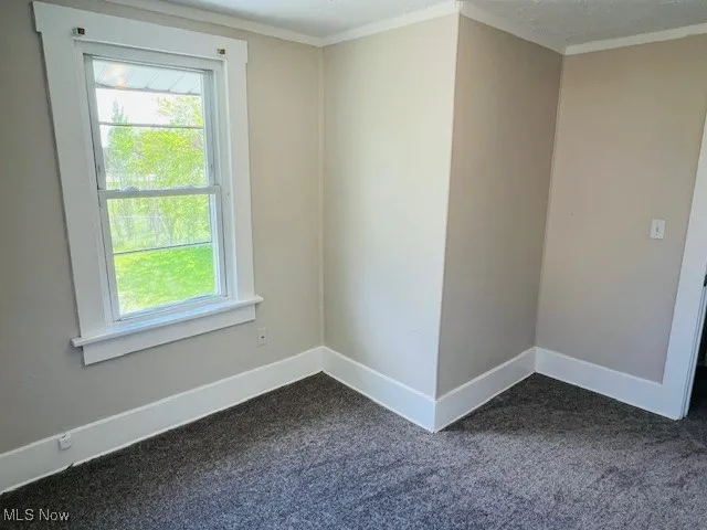 394 Lewis Street, Akron, Ohio,MLS Now Listing ID