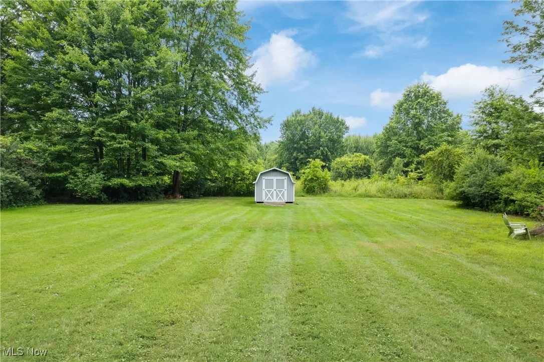 View of grassy yard with a storage shed