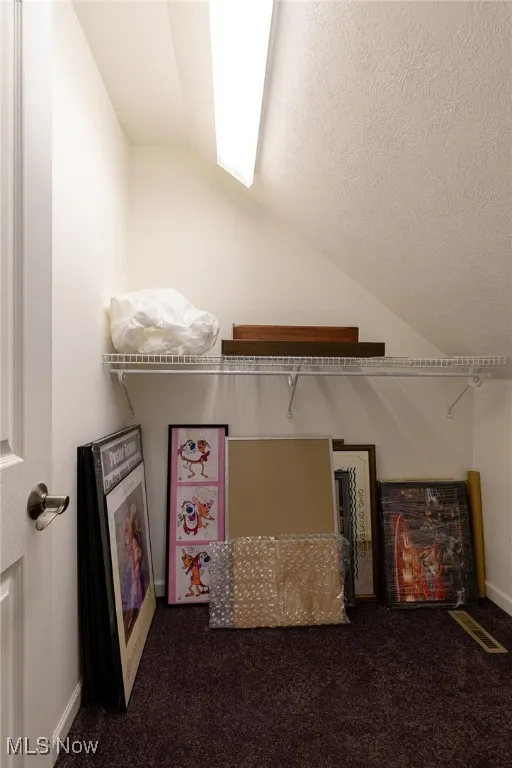 Spacious closet with vaulted ceiling and carpet flooring