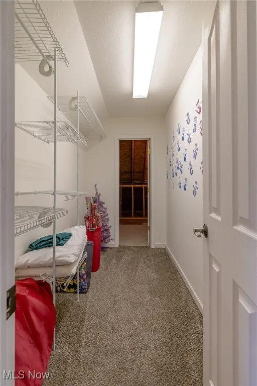 Spacious closet featuring carpet flooring and vaulted ceiling