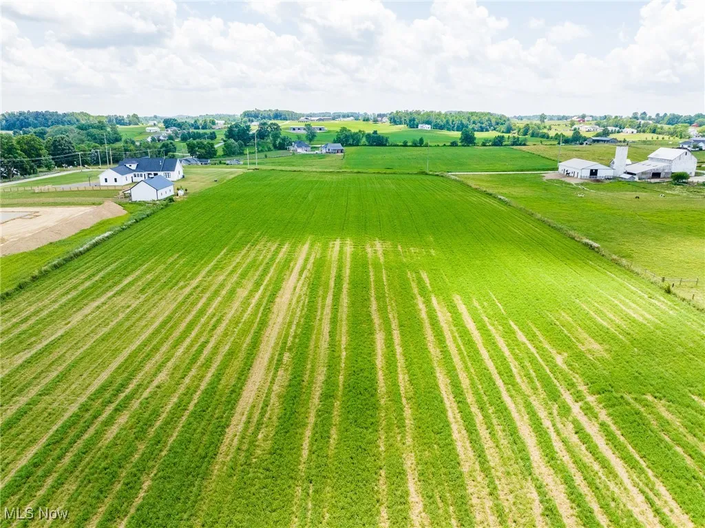 View of rural area with rows of crops