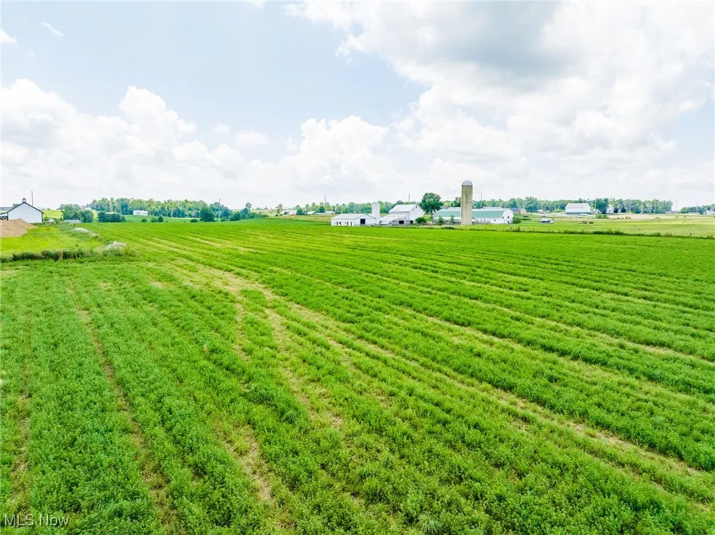 View of grassy yard with a view of rural / pastoral area