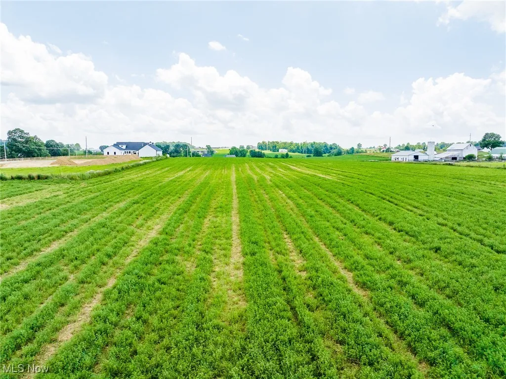 View of green lawn with a view of rural / pastoral area