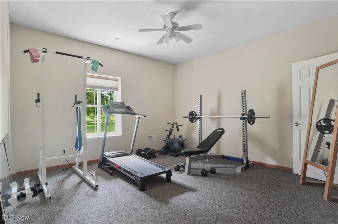 Workout area featuring ceiling fan and carpet
